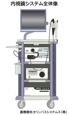内視鏡システム全体像